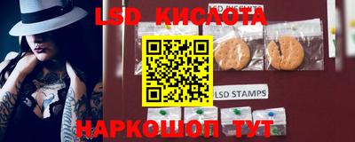 spice Аргун
