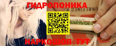 spice Аргун