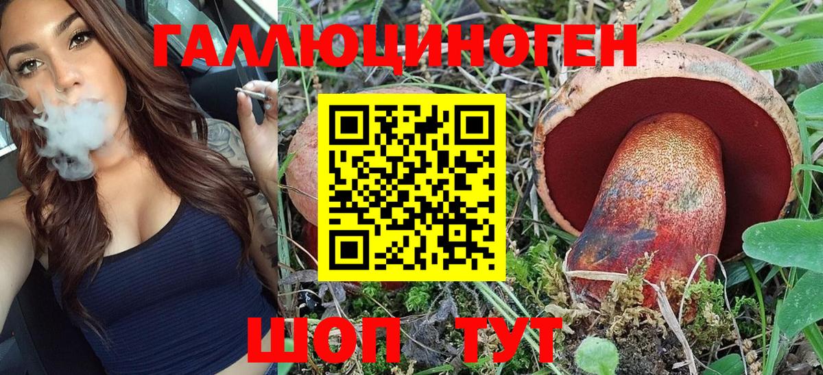 Псилоцибиновые грибы Cubensis Артём